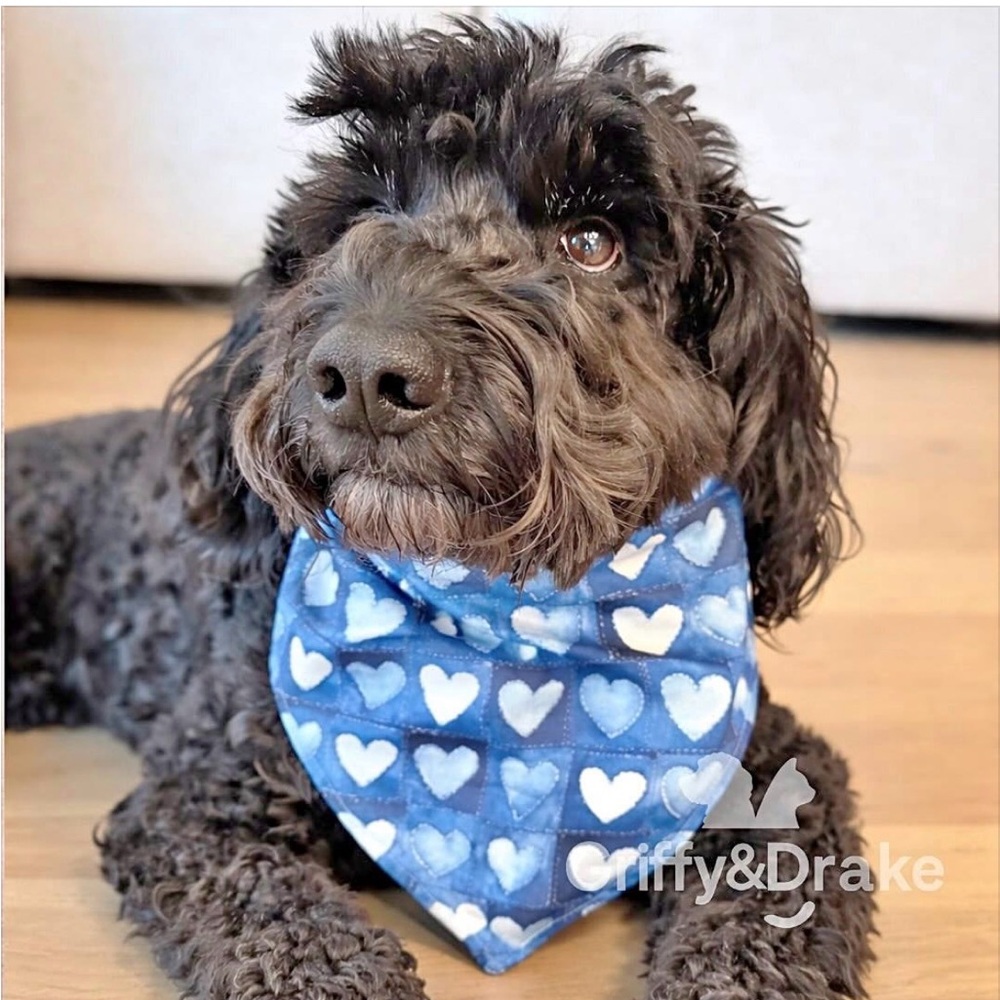 🐾 Blue Heart Dog Bandana